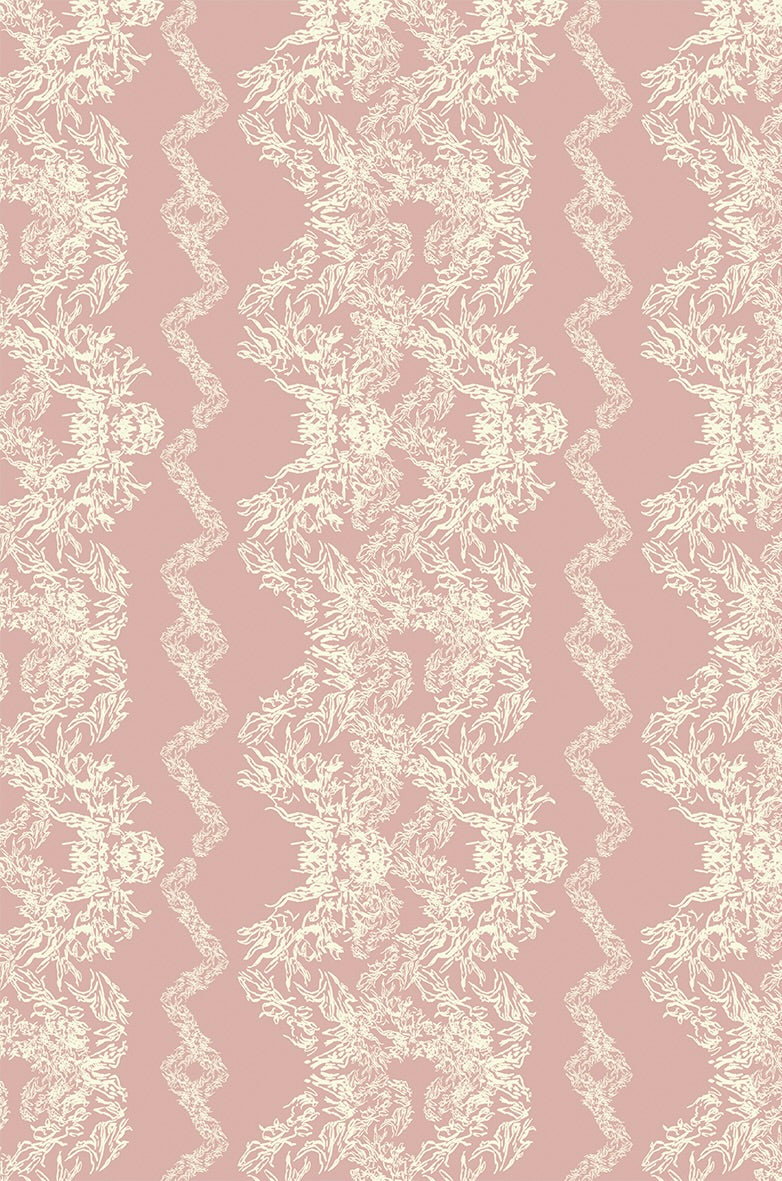 The Clara Collection